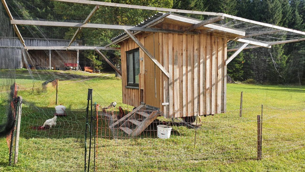 Ferienhaus Buxbaum Arbesbach 외부 사진